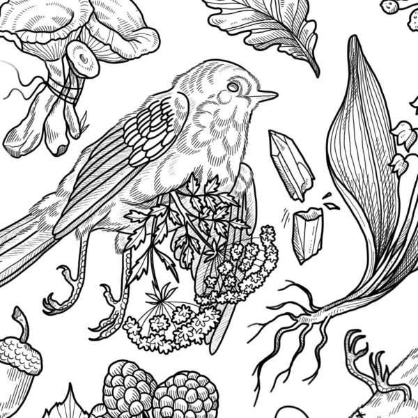 Fugle flashsheet illustration