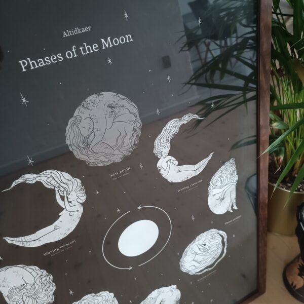 Månecyklus med månens kvinder plakat